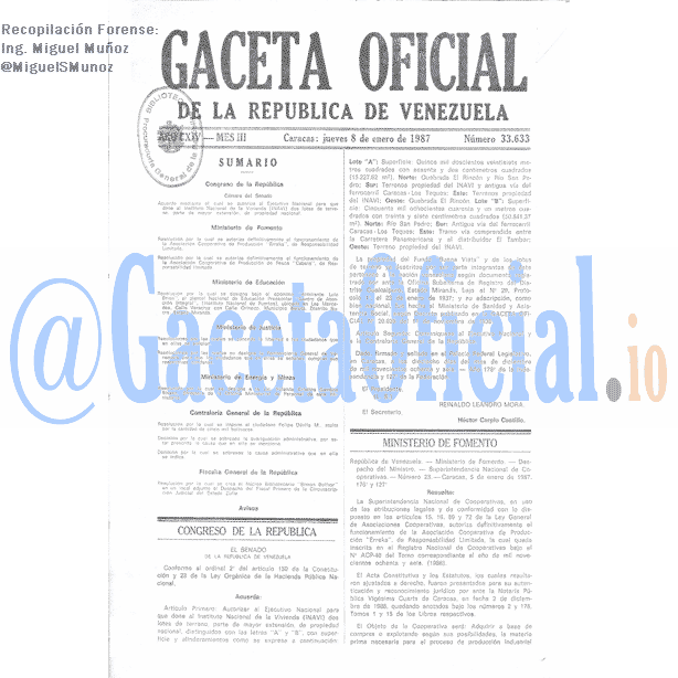 Gaceta Oficial 33633 del 8 Enero 1987