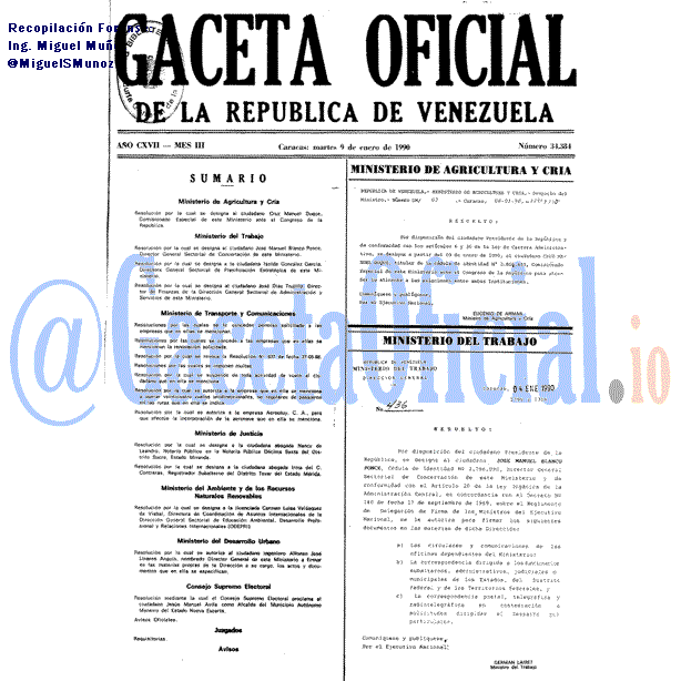Gaceta Oficial 34384 del 9 Enero 1990