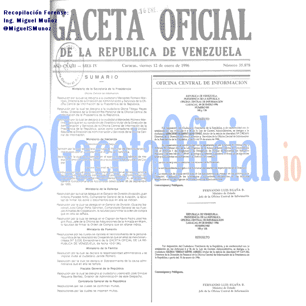 Gaceta Oficial 35878 del 12 Enero 1996