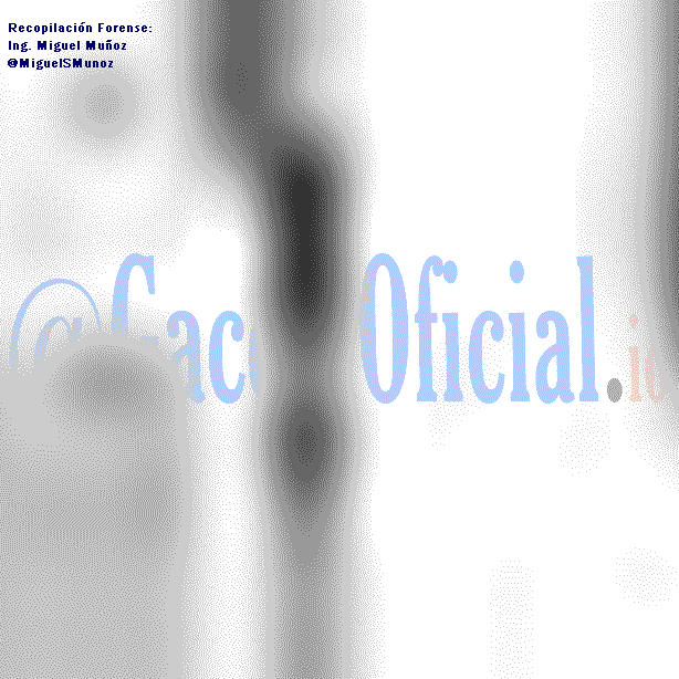 Gaceta Oficial 38704 del 13 Junio 2007