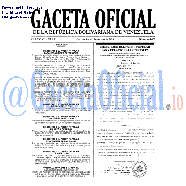 Gaceta Oficial 41605 del 25 Marzo 2019